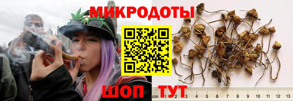 Псилоцибиновые грибы Cubensis  Вход с VPN  Буйнакск 